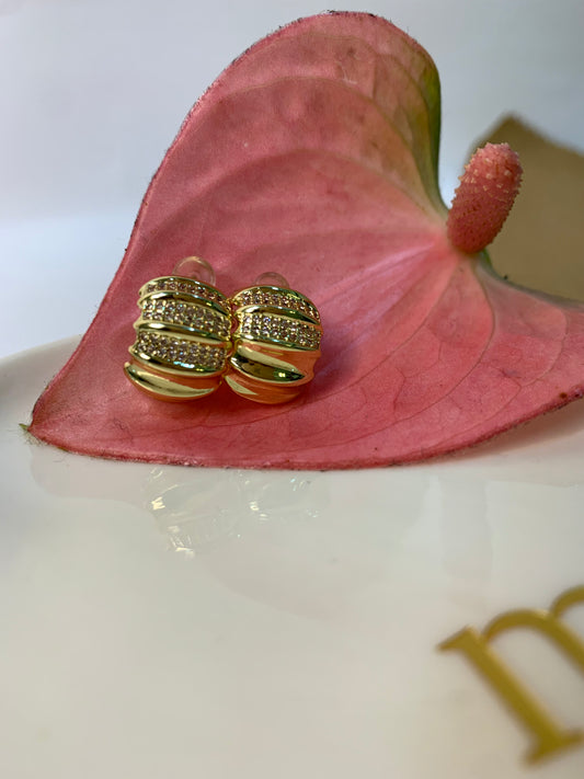 Shell Earrings
